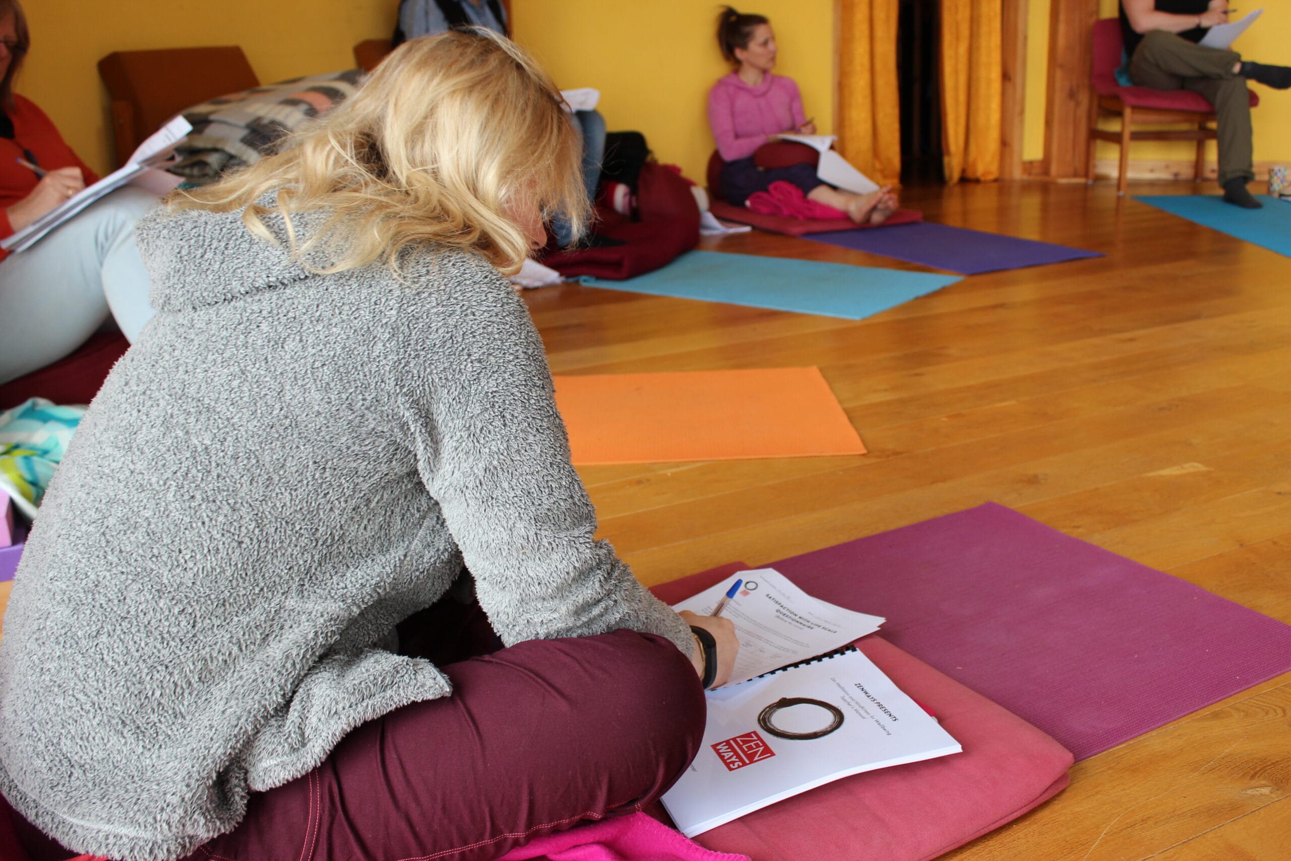 Mindfulness teacher training